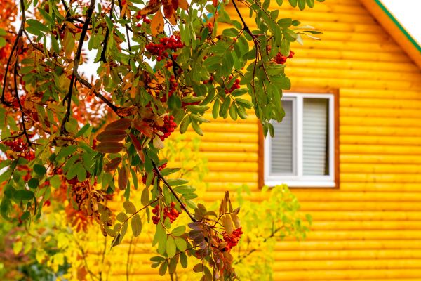 Cost of Garden Window Replacement in Raleigh